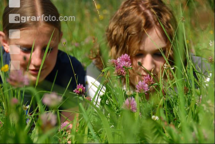 In der Wiese 5