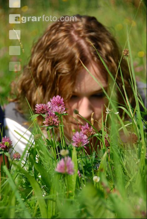 In der Wiese 6