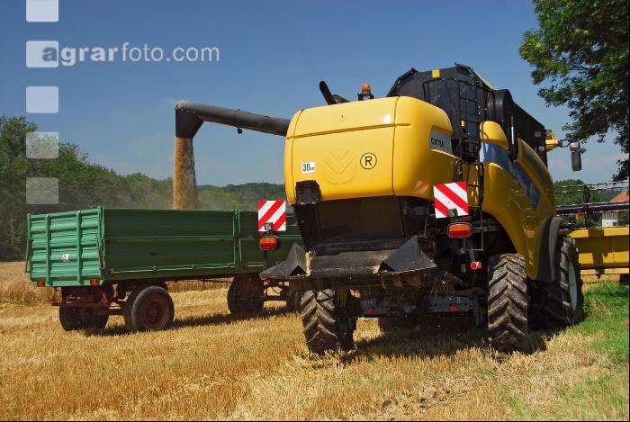 Gerste Ernte 28