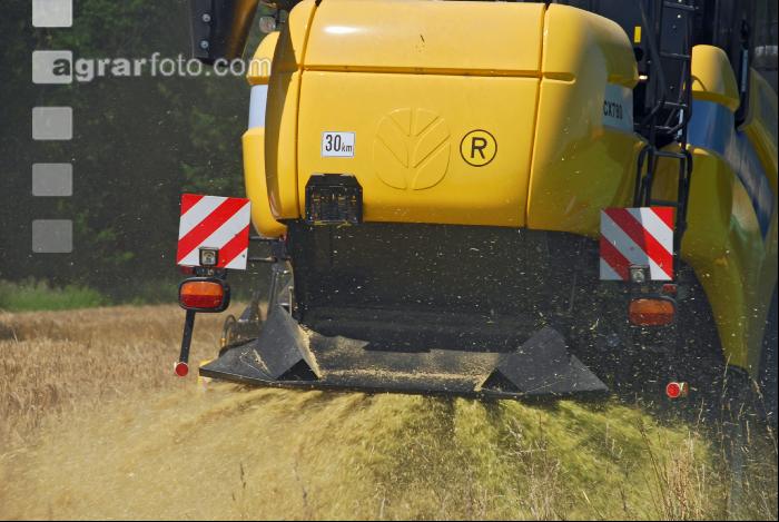 Gerste Ernte 26