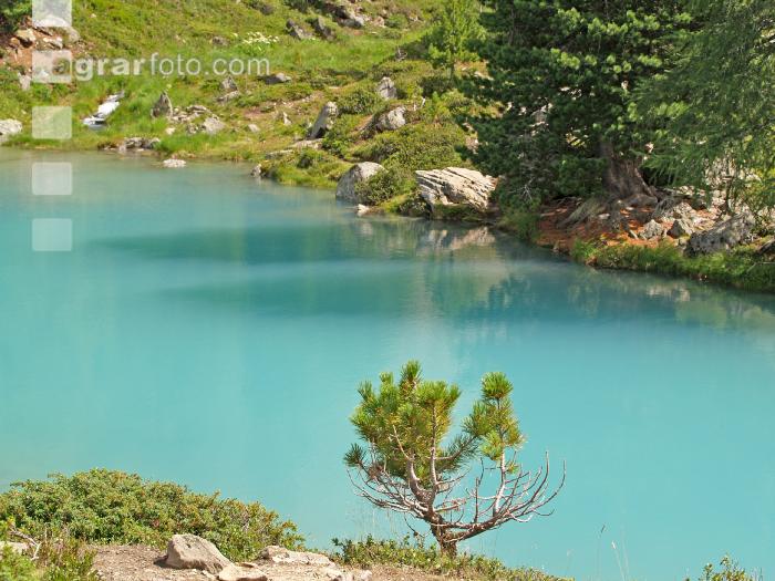 Bergsee 3