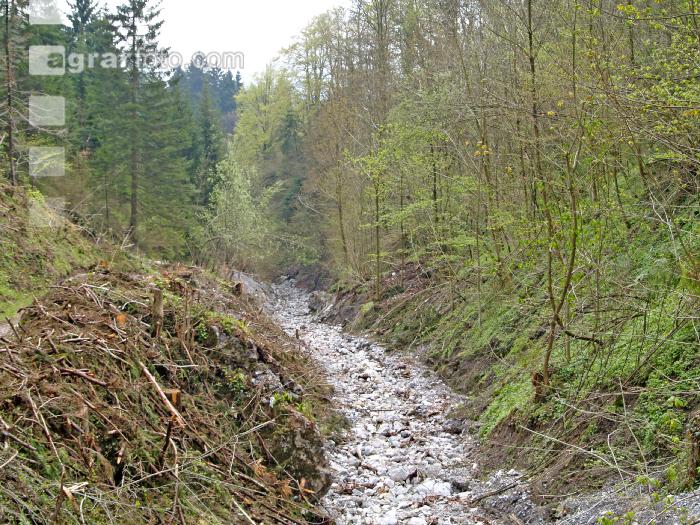 Vermurungen Bäche 3