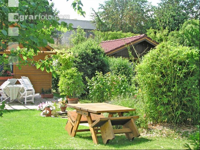 Schrebergarten 1