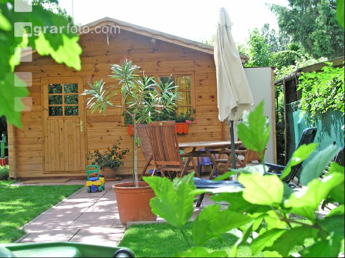 Schrebergarten 2