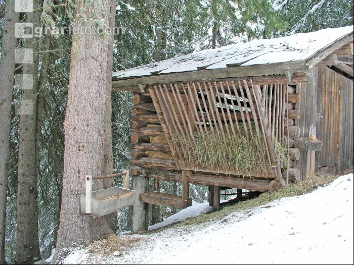 Wildfutterstelle 1