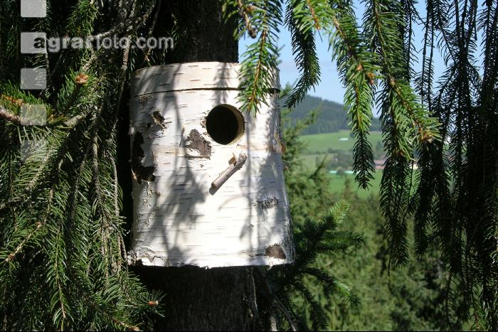 Vogel Nistkasten