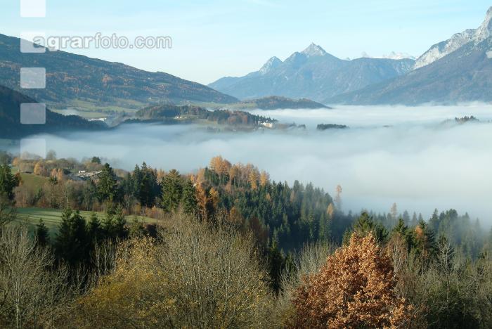 Nebel im Tal 15