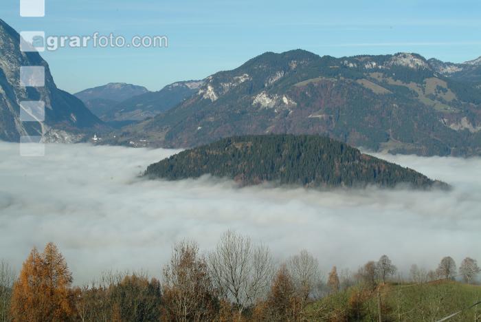 Nebel im Tal 14