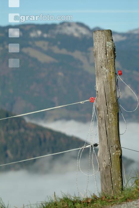 Nebel im Tal 11
