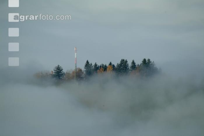 Nebelstimmung 1