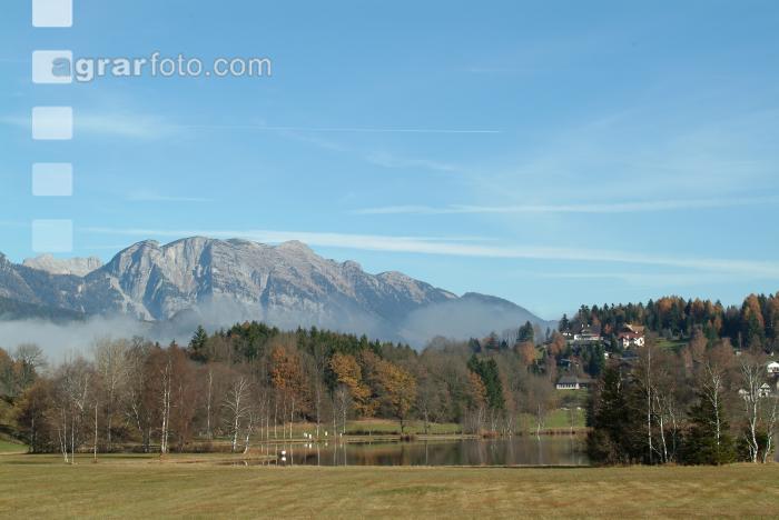Nebelstimmung 5