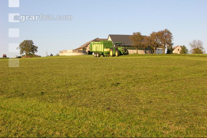 Silieren Krone 2