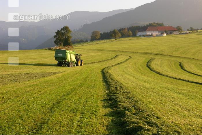 Silieren Krone 3