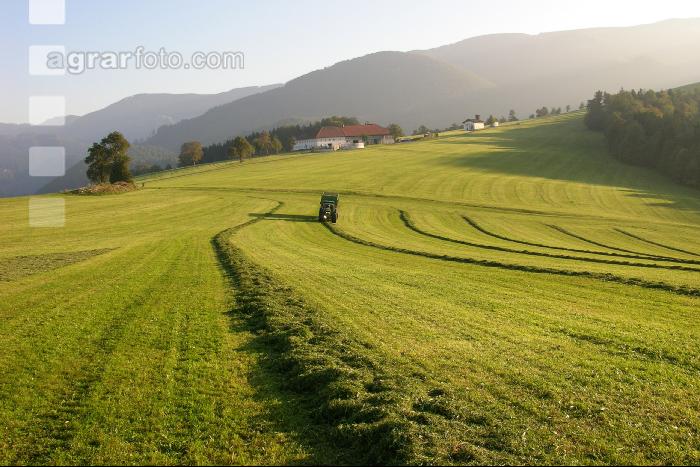Silieren Krone 5