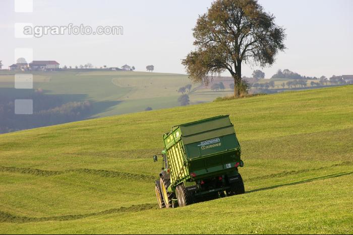 Silieren Krone 7
