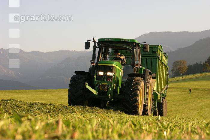 Silieren Krone 14