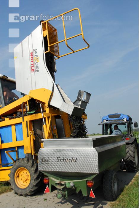 Weinlesemaschine 5