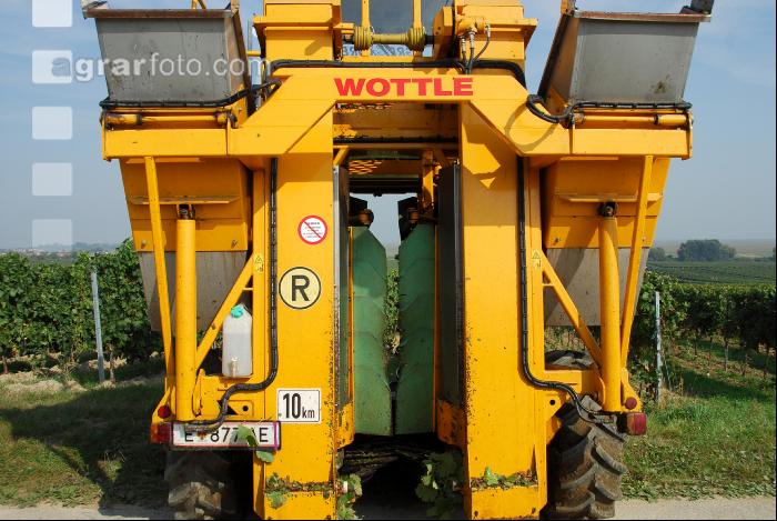Weinlesemaschine 1