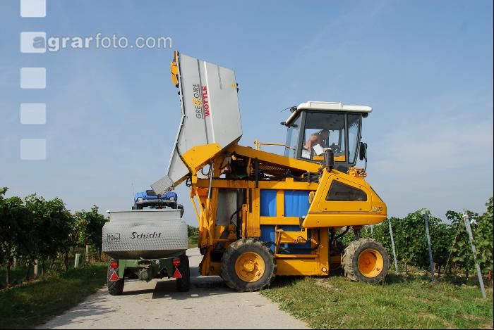 Weinlesemaschine 8