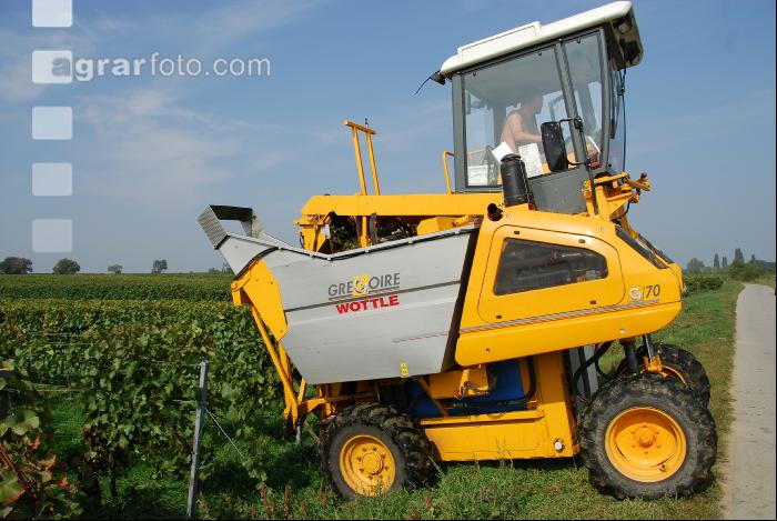 Weinlesemaschine 14
