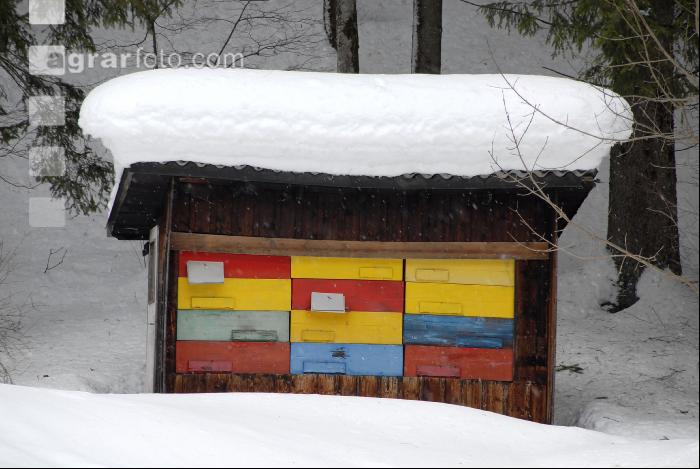 Bienenstock Winter