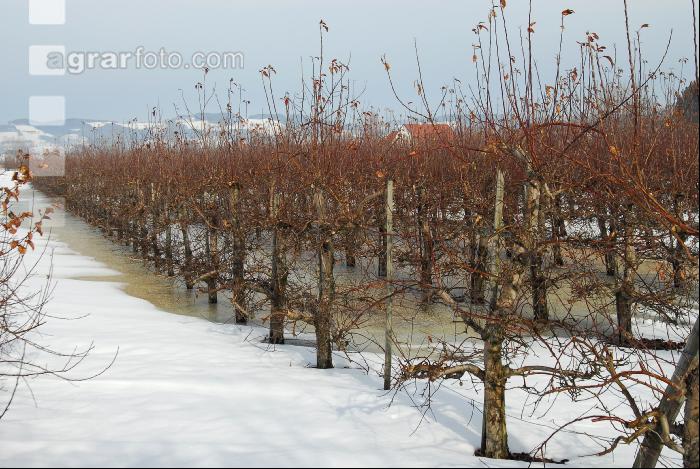 Schnee Schmelze 2