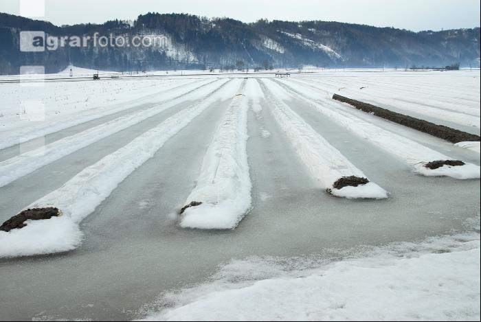 Schnee Schmelze 3