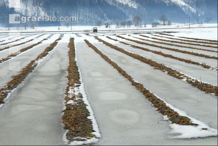 Schnee Schmelze 4