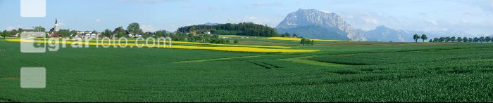 Dorf