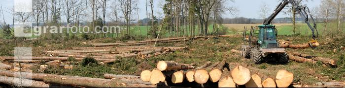 Forwarder 2