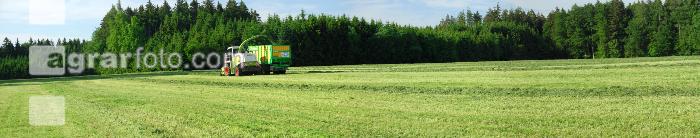 Gras silieren