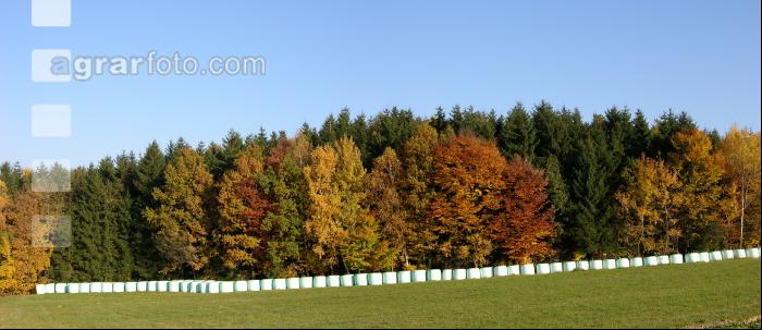 Herbst 3