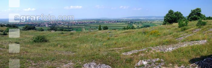 Magerrasen 