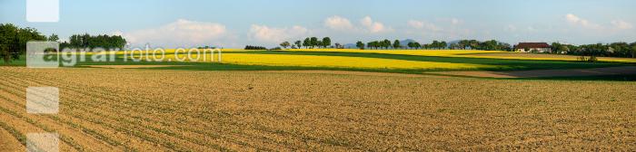 Raps Panorama 2