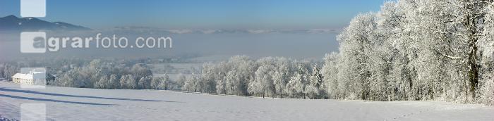 Schneeland 1