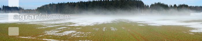 Schneeschmelze 3