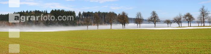 Schneeschmelze 4