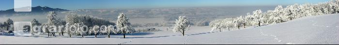 Winterland