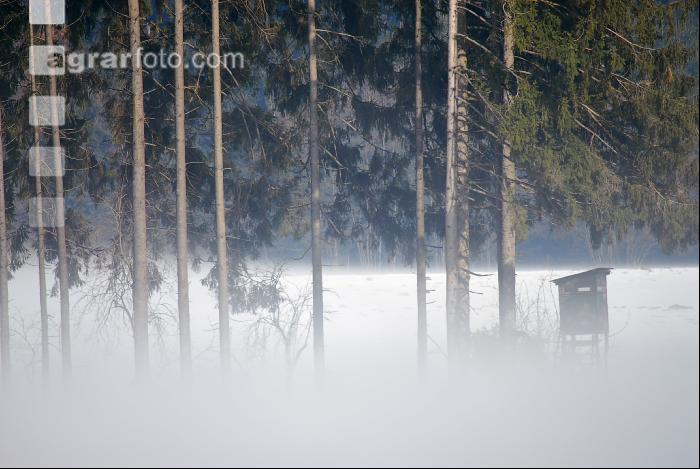 Kanzel im Nebel