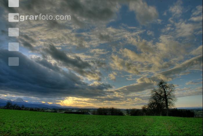 Lichtstimmung 1