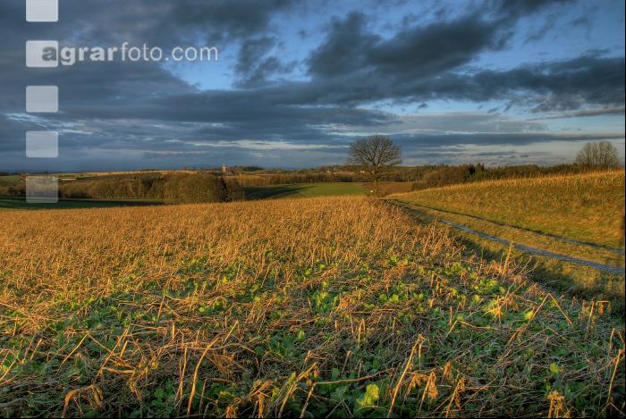 Abendrot 3