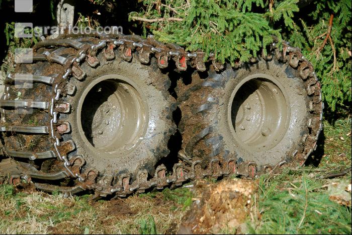 Forwarder 31