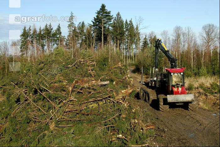 Forwarder 32