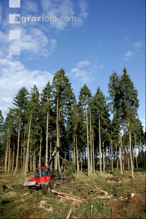 Forwarder 38