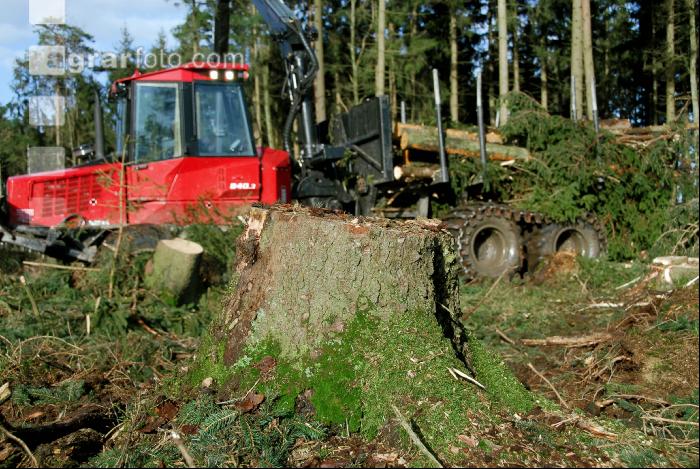 Forwarder 42