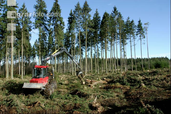 Forwarder 44