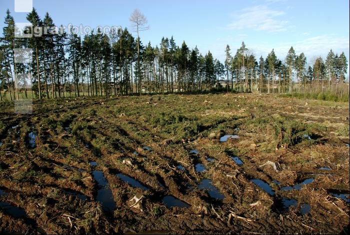 Harvester Schäden 1