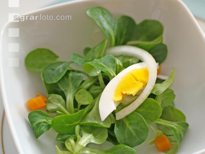 Vogerlsalat 1