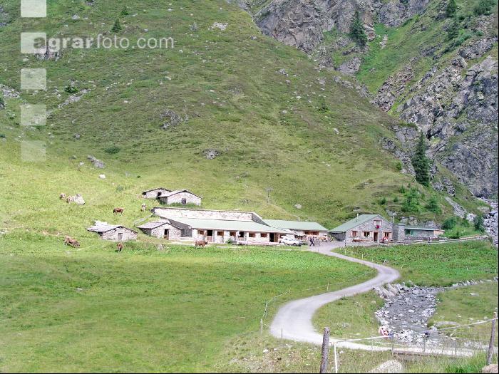 Verbellaalpe