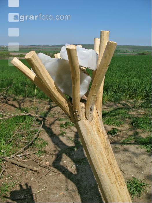 Salzlecke 2